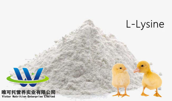Voederkwaliteit HCl-sulfaat L-lysine 98,5% 70% Voederadditief Kwaliteit op aanvraag