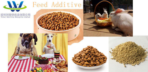 s Leading Amino Acid for Feed Grade L-Lysine 2 jaar Minimale ervaring gegarandeerd
