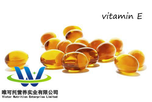 Vitamine Voedingsstoffen Samenstelling Synthetische vitamine E-acetaatolie CAS 7695-91-2 EA-98